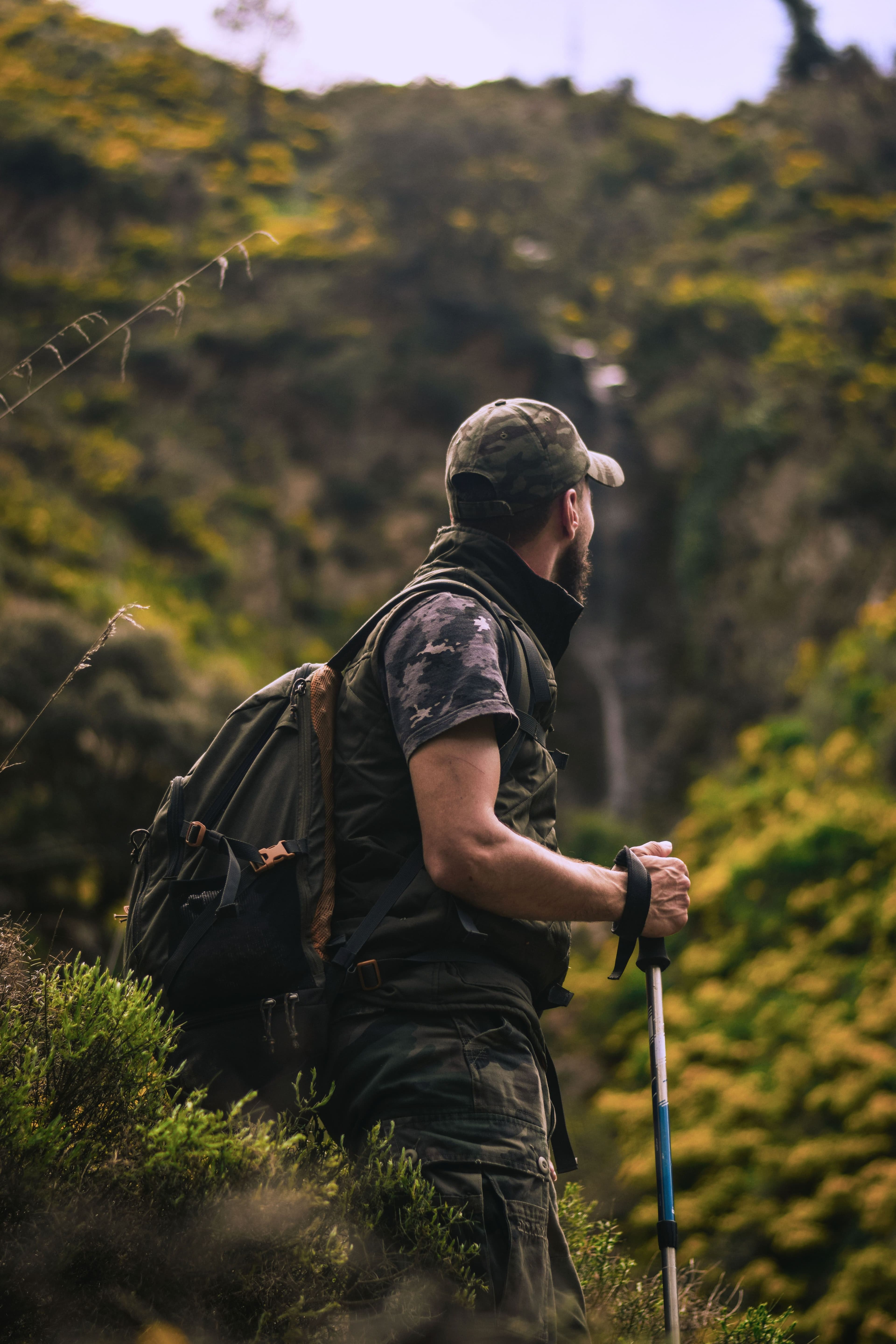 Hiker pausing on a green hillside during a guided trail