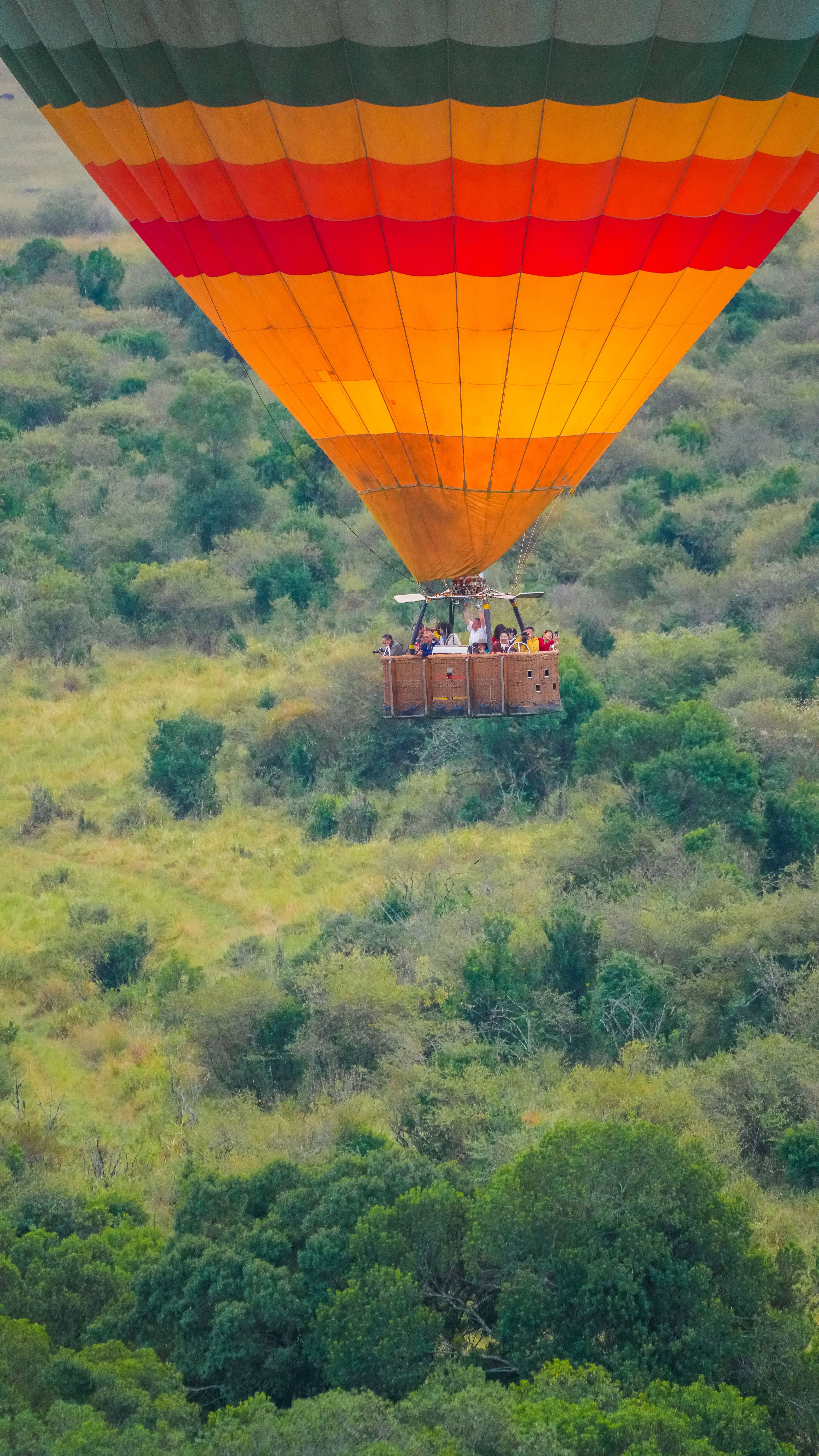 Hot air balloons over the savanna at sunrise