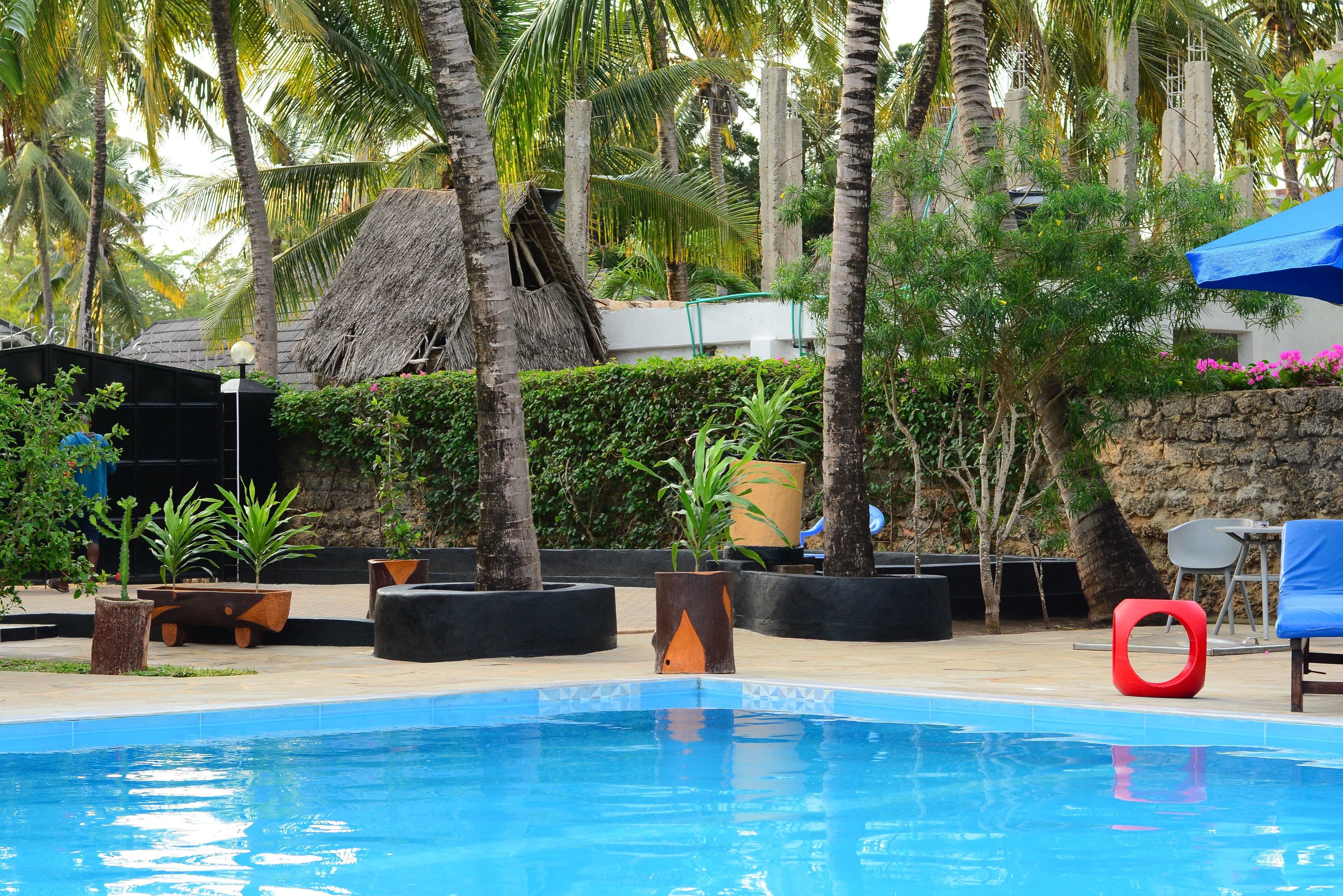 Palm-lined swimming pool at a coastal stay